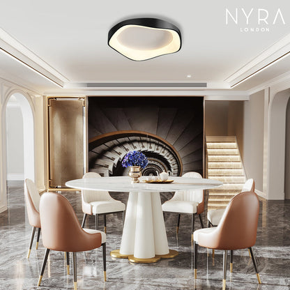 Modern LED Ceiling Wall Light