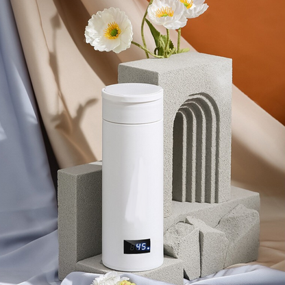 Compact Travel Electric Stainless Steel Kettle Boiler