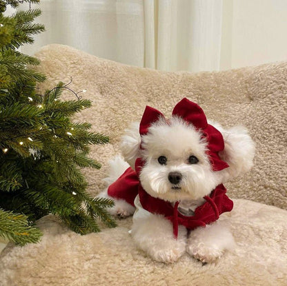 Elegant Dog Dress Set for Small Dogs – Soft Fabric with Bow Accents, Ideal for Parties and Special Occasions 5