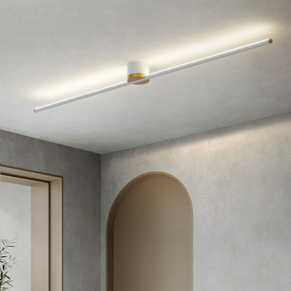 Slim Modern Ceiling Mount Light Fixture