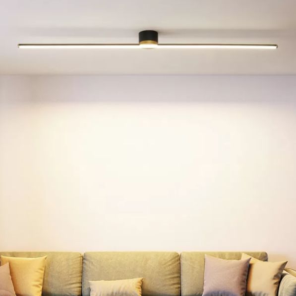 Slim Modern Ceiling Mount Light Fixture