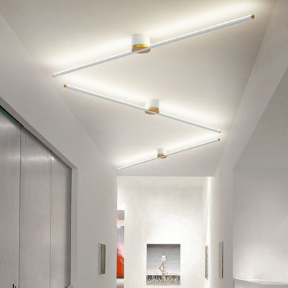 Slim Modern Ceiling Mount Light Fixture