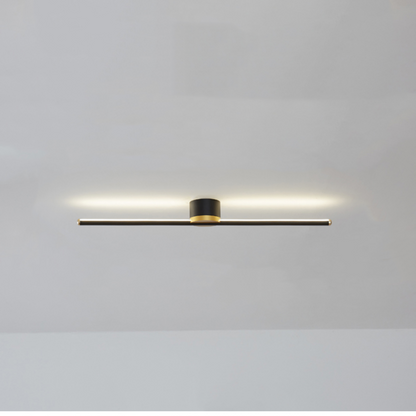 Slim Modern Ceiling Mount Light Fixture