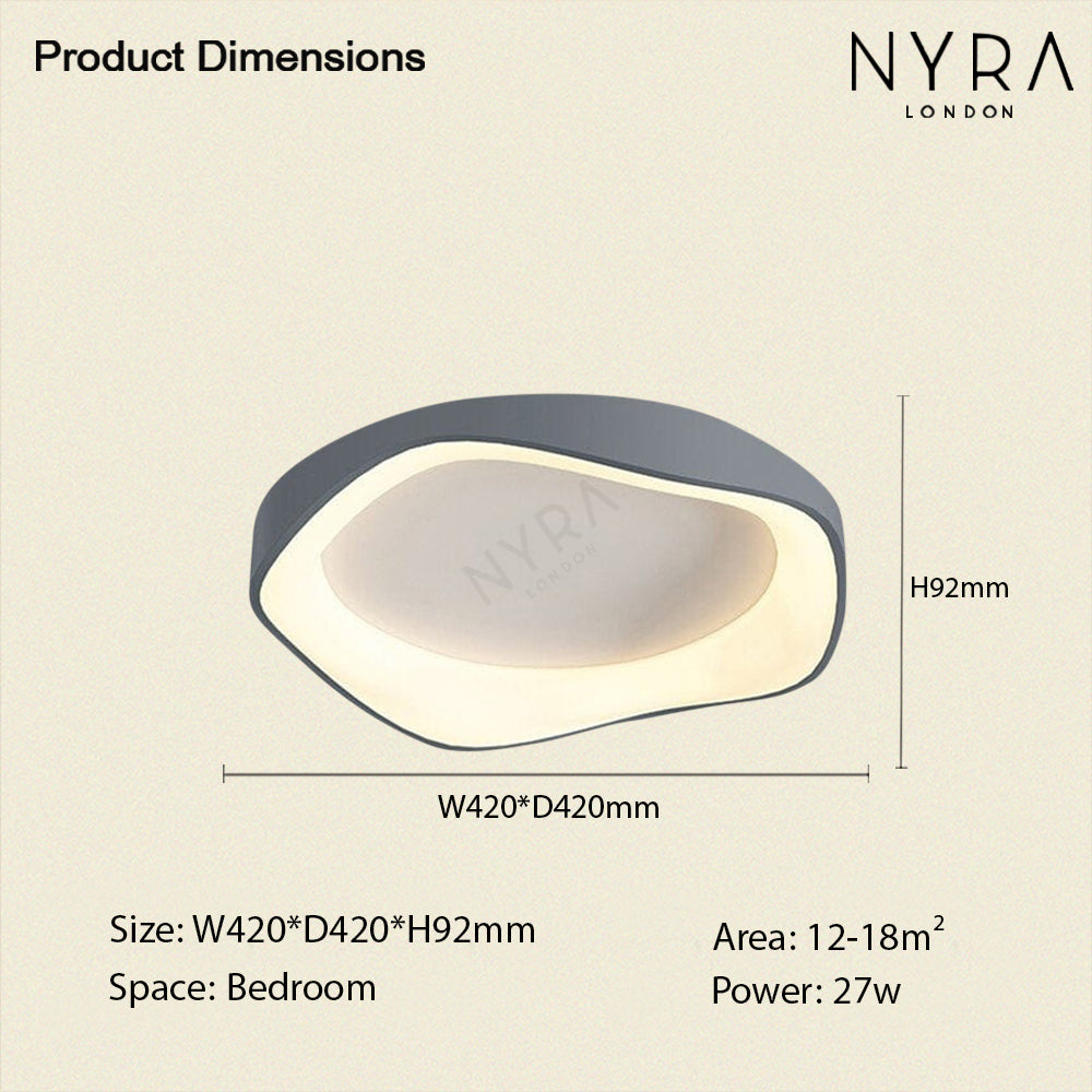 Modern LED Ceiling Wall Light