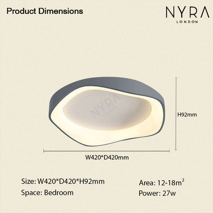 Modern LED Ceiling Wall Light