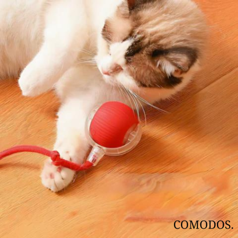 FelineMotion | Engaging Automatic Interactive Cat Toy for Active Play 1