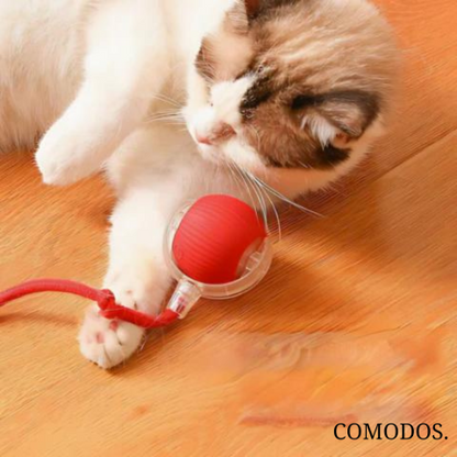 FelineMotion | Engaging Automatic Interactive Cat Toy for Active Play 1