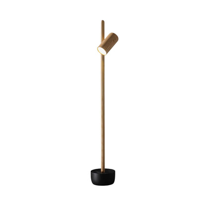 Felomo Floor Lamp 1