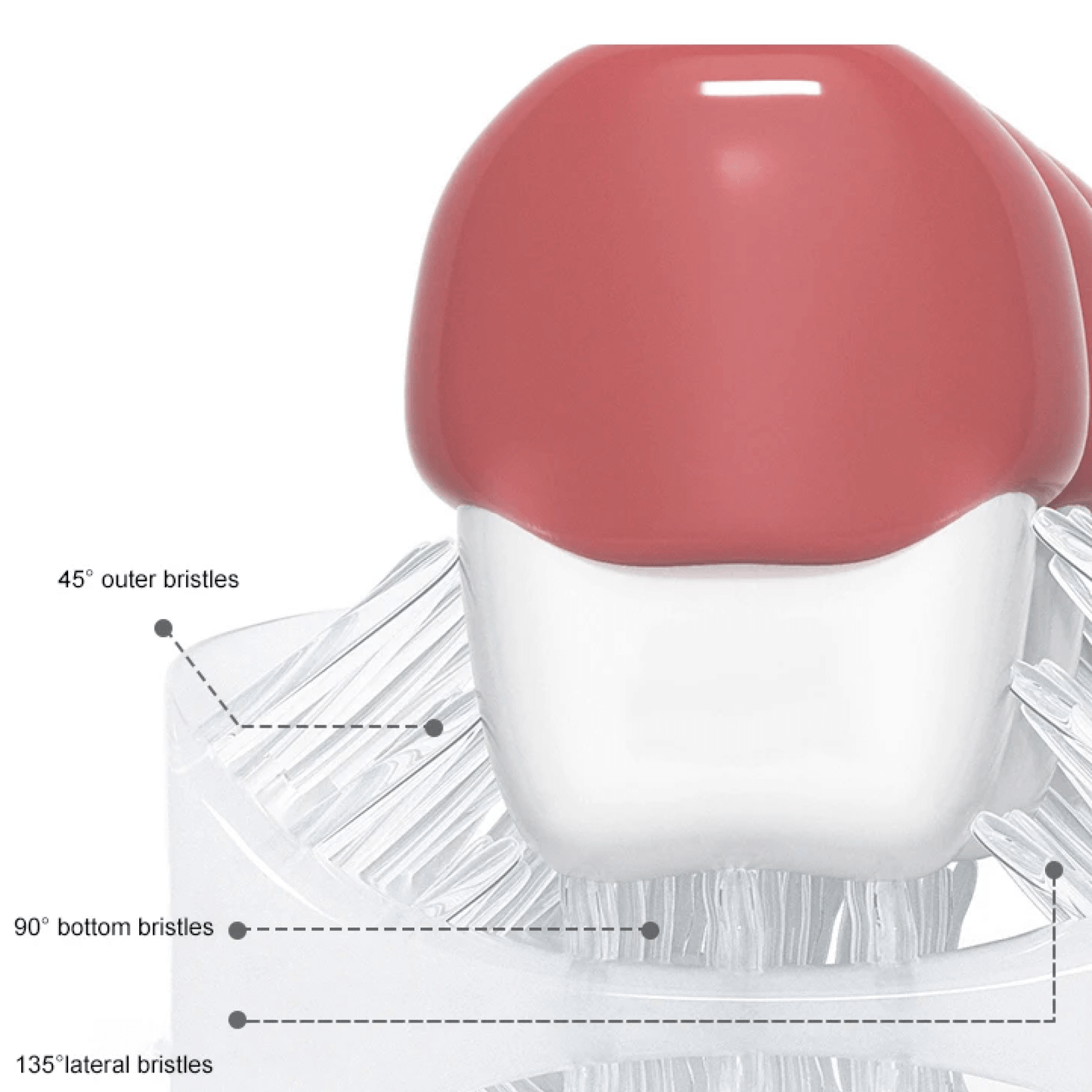 Baby Gentle U-Shaped Electric Toothbrush With Battery