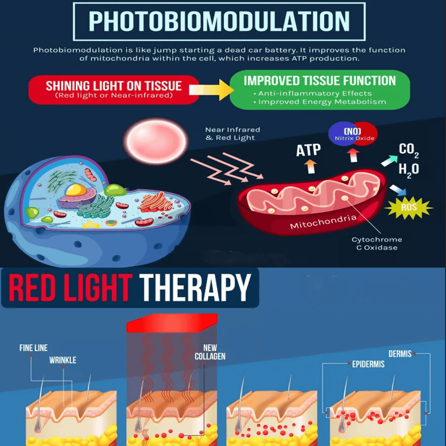 Advanced LED Pain Relief Light Therapy Device