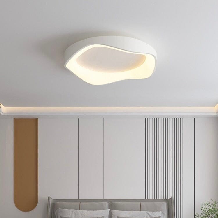 Modern LED Ceiling Wall Light