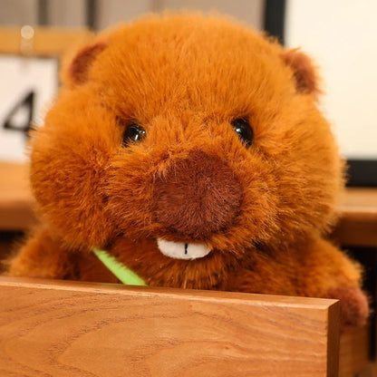 Funny beaver as a stuffed toy in various sizes 1