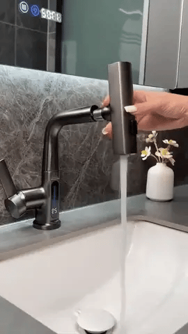 Flexible Kitchen Faucet With Long Extendable Hose