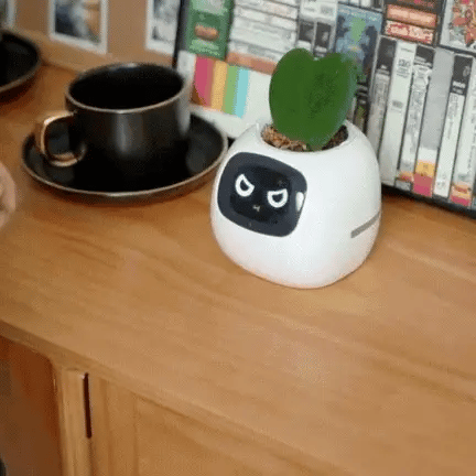 Intelligent Self Watering Indoor Planter With Sensors