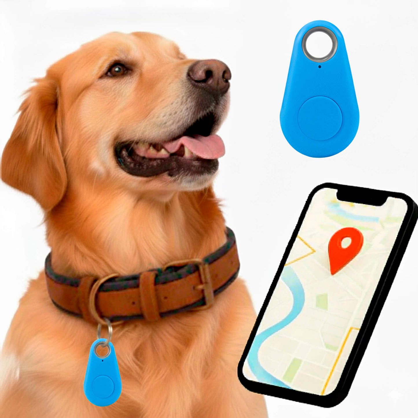 Pet GPS Tracker, Waterproof, Live Location Updates