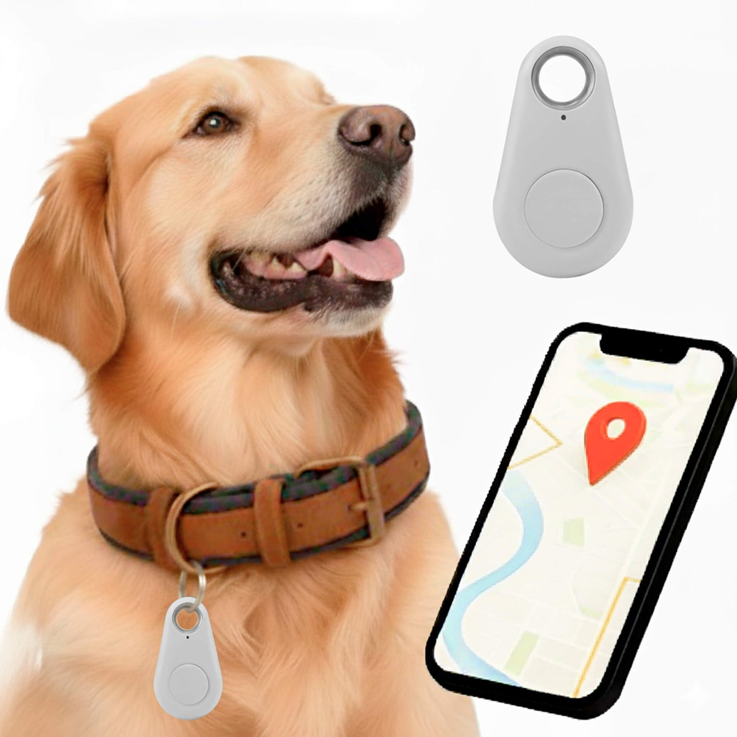 Pet GPS Tracker, Waterproof, Live Location Updates