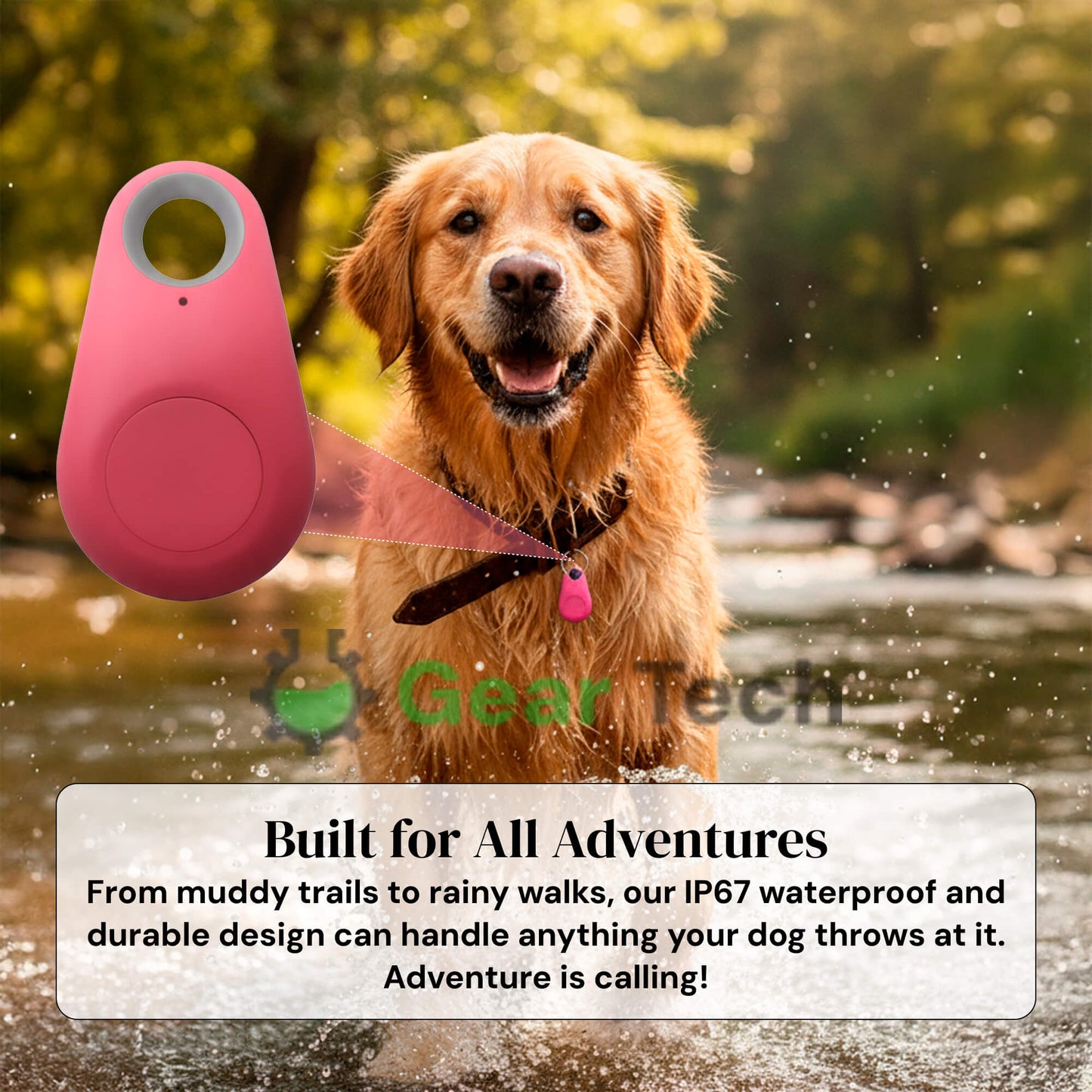 Pet GPS Tracker, Waterproof, Live Location Updates
