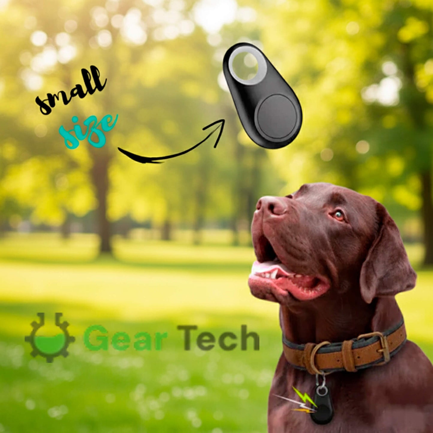 Pet GPS Tracker, Waterproof, Live Location Updates
