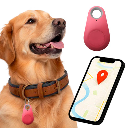 Pet GPS Tracker, Waterproof, Live Location Updates