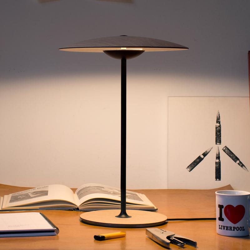 Stylish Round Shade LED Desk Lamp