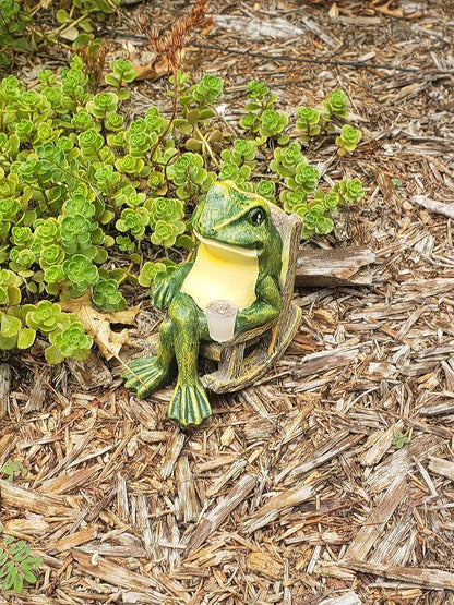 Small Outdoor Frog Solar Powered Lamp