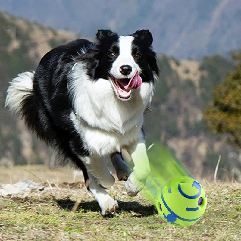 Glow Ball Interactive Dog Toy with Giggle Sounds – Engaging Play for All Dog Sizes, Safe and Durable for Indoor and Outdoor Fun 6