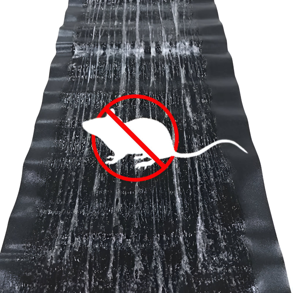Effective Mouse Trap Adhesive Catcher Pads