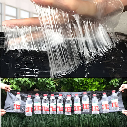 Effective Mouse Trap Adhesive Catcher Pads