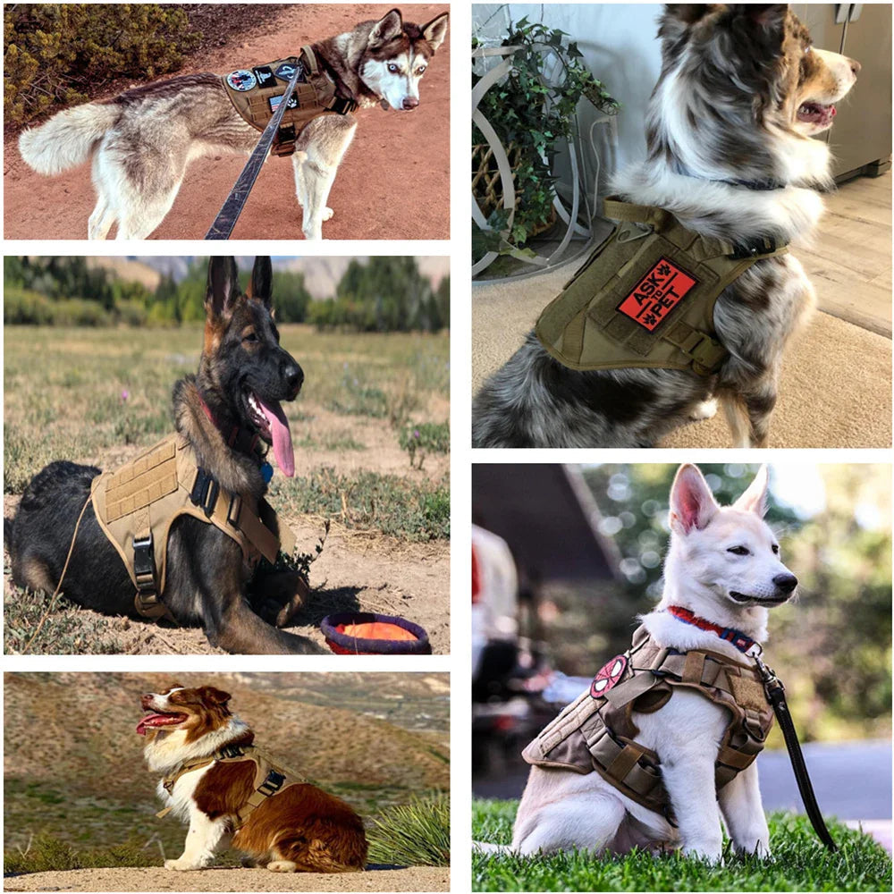Guardpaw Tactical Dog Harness with Handle - Durable, Adjustable, Leash Set 5
