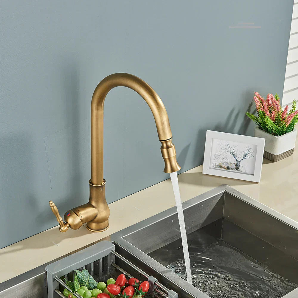 Classic Bronze Rotating Kitchen Faucet With Dark Finish