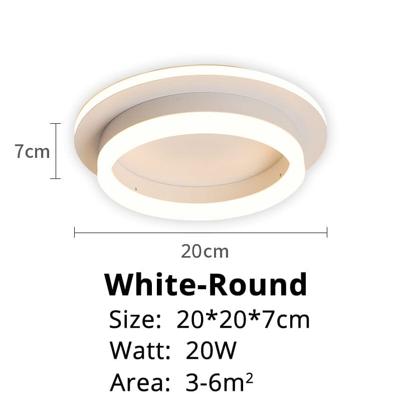 Elegant Entryway Ceiling Light
