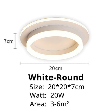 Elegant Entryway Ceiling Light