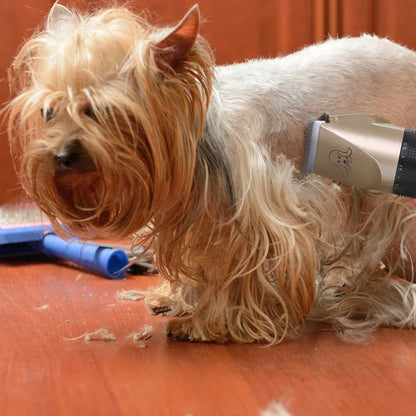 Pet Grooming Fur Care Brush Kit