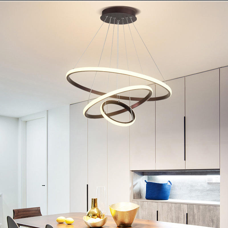 Stylish Contemporary Overhead Lamp