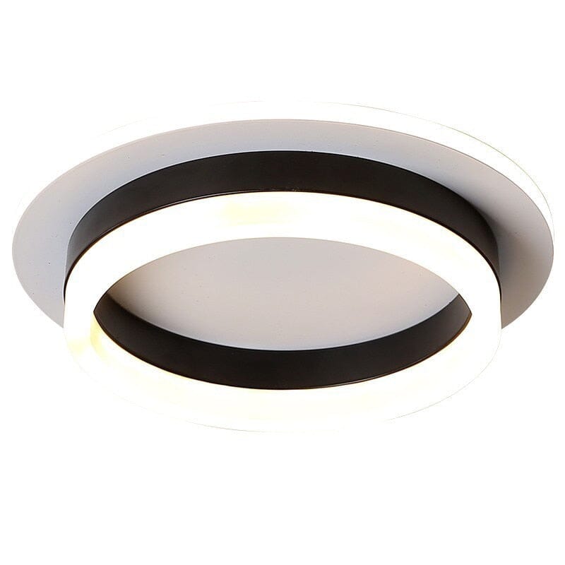 Elegant Entryway Ceiling Light
