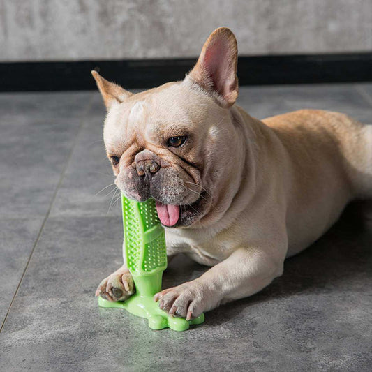 Dog Dental Chew Toy for Healthy Teeth Cleaning - Lusomart