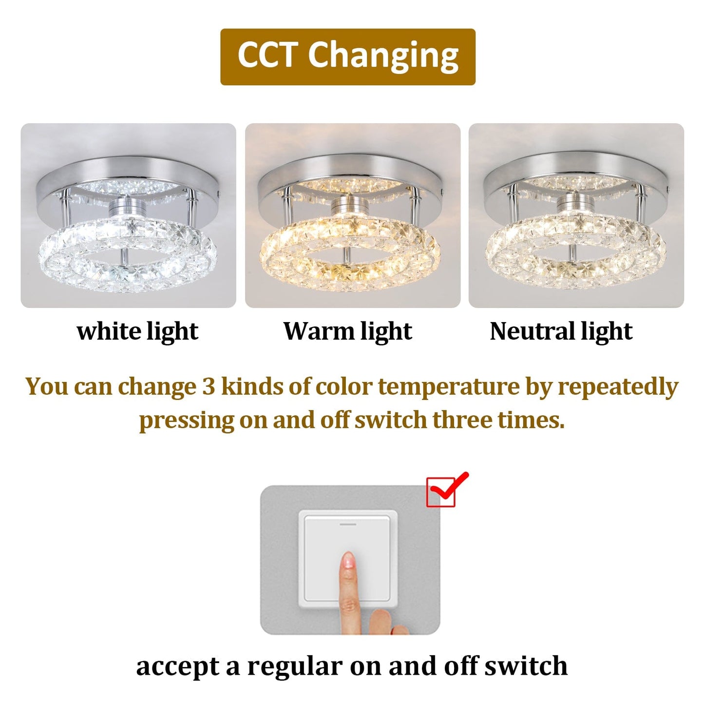 Elegant Home Ceiling Light