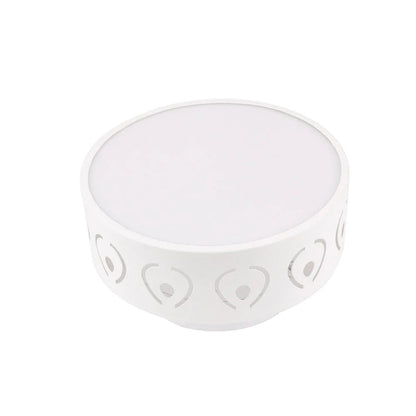 Stylish Overhead Hallway Light – Warm or Cool Tone
