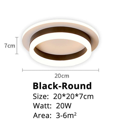 Elegant Entryway Ceiling Light