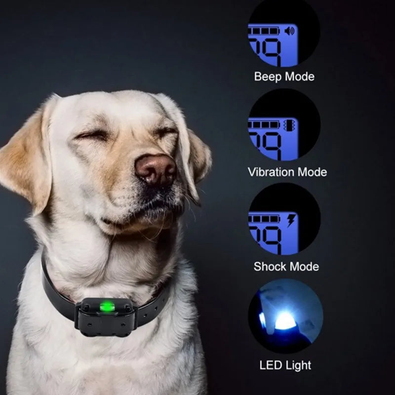 Rechargeable Waterproof Dog Shock Training Collar