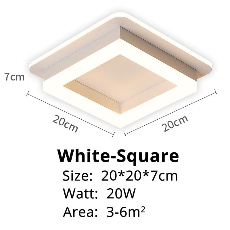 Elegant Entryway Ceiling Light