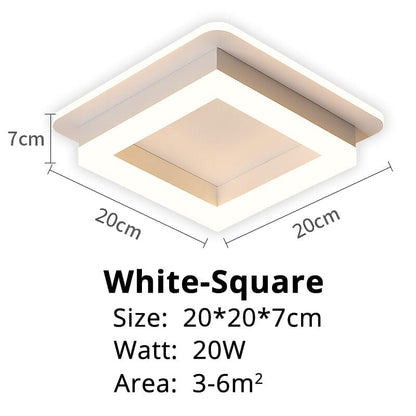 Elegant Entryway Ceiling Light
