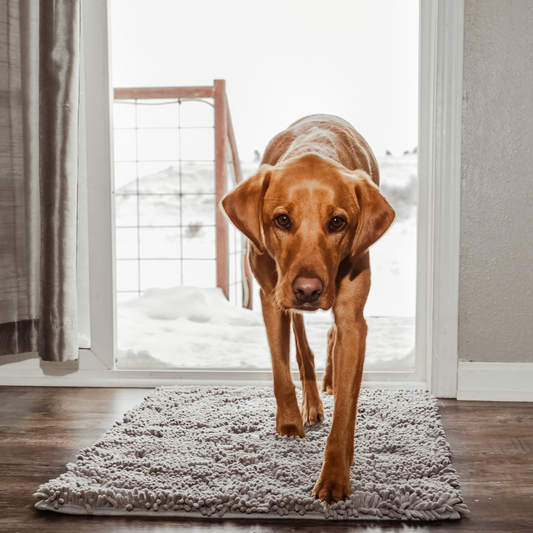 Soft Pet Mat with Grip, Easy Clean Dog Pad - Lusomart