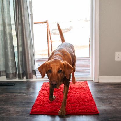Highly Absorbent Dog Mat, Non-Slip Cleaning Mat for All Floor Types, Machine Washable, Durable Design 7