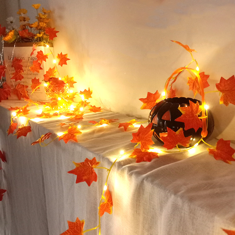 LED String Light with Fairy Lights for Window Decor – Lusomart