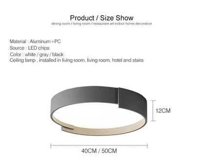 Modern Flush Mount Ceiling Light