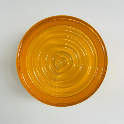 Elegant Wall Light Fixture