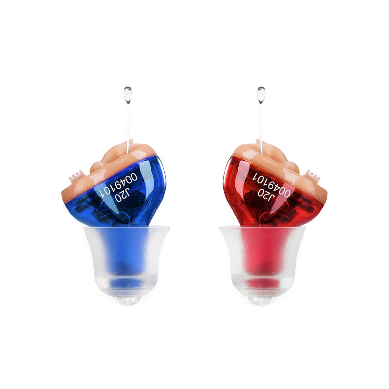 Compact Digital Hearing Aid With Noise Reduction
