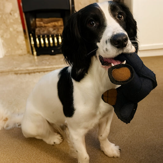 Tough Plush Dog Toy Teddy Bear Shape - Lusomart