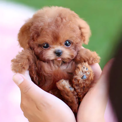 Fun Electronic Pet Dog Toy Walking Barking Plush - Lusomart